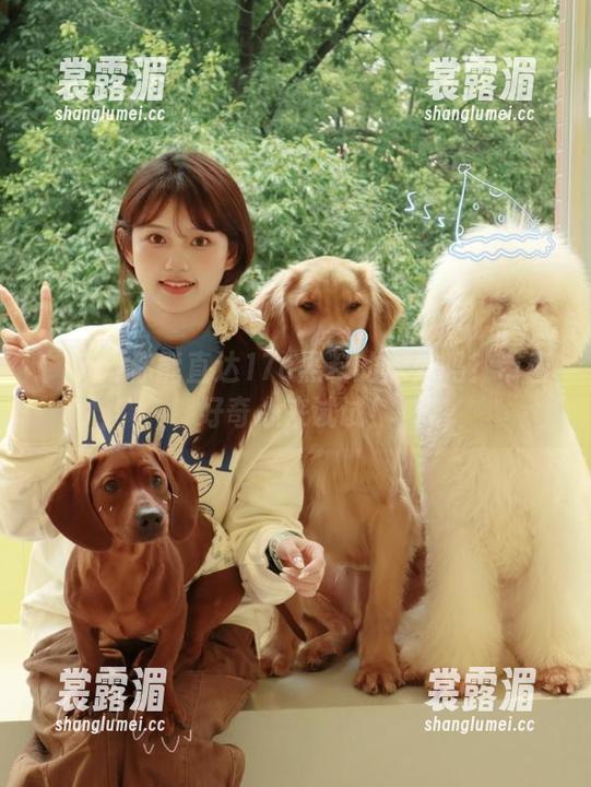 17c 你能直达17c黑料的深处吗?带着好奇心来试试!