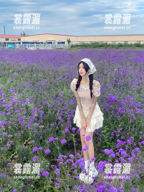 51cg 我在“51cgfun”上看“发布”,果然又是一年瓜田,哈哈哈!