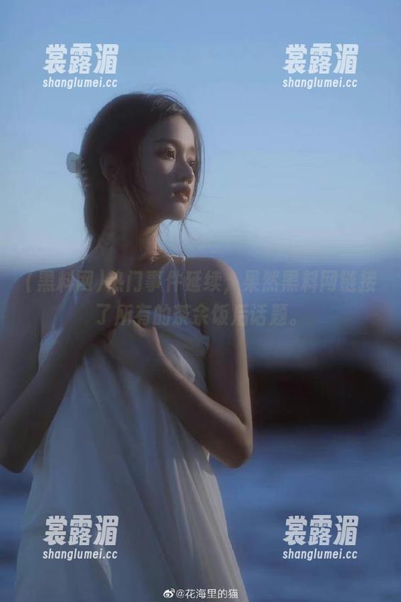热门事件延续，果然黑料网链接了所有的茶余饭后话题。